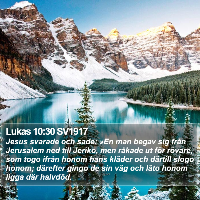 Lukas 10:30 SV1917 Bible Study