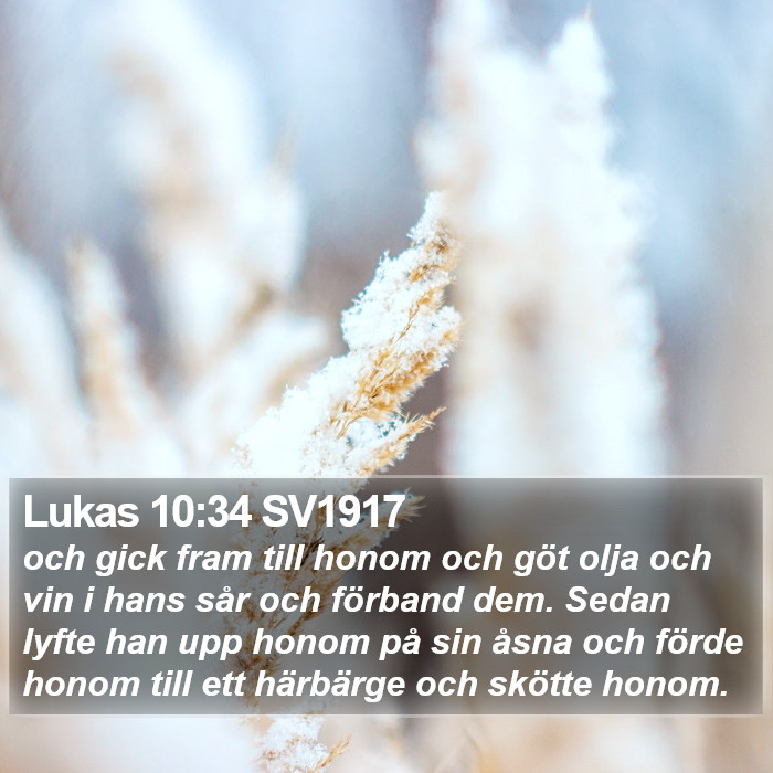 Lukas 10:34 SV1917 Bible Study