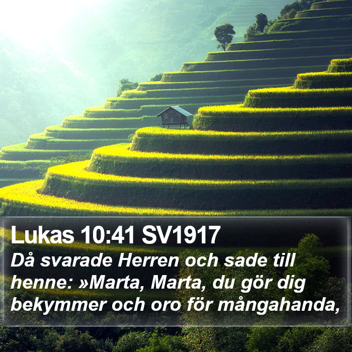 Lukas 10:41 SV1917 Bible Study