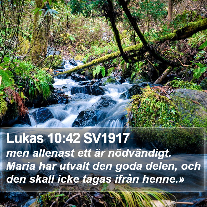 Lukas 10:42 SV1917 Bible Study