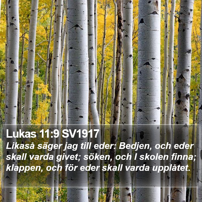 Lukas 11:9 SV1917 Bible Study