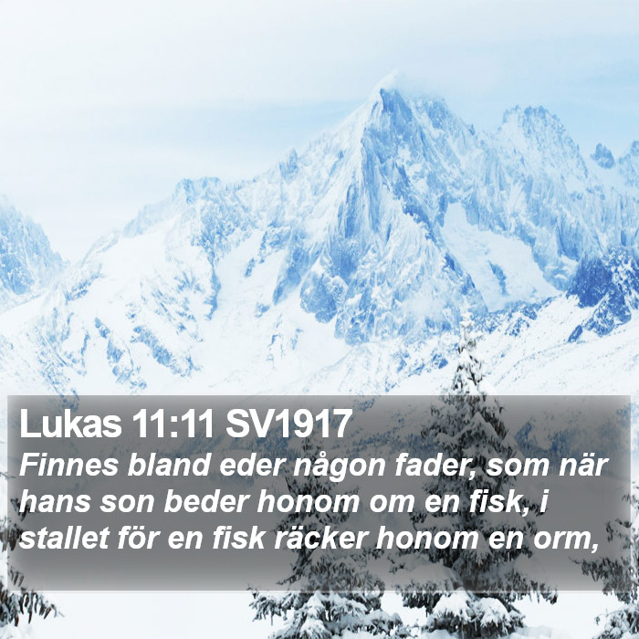 Lukas 11:11 SV1917 Bible Study