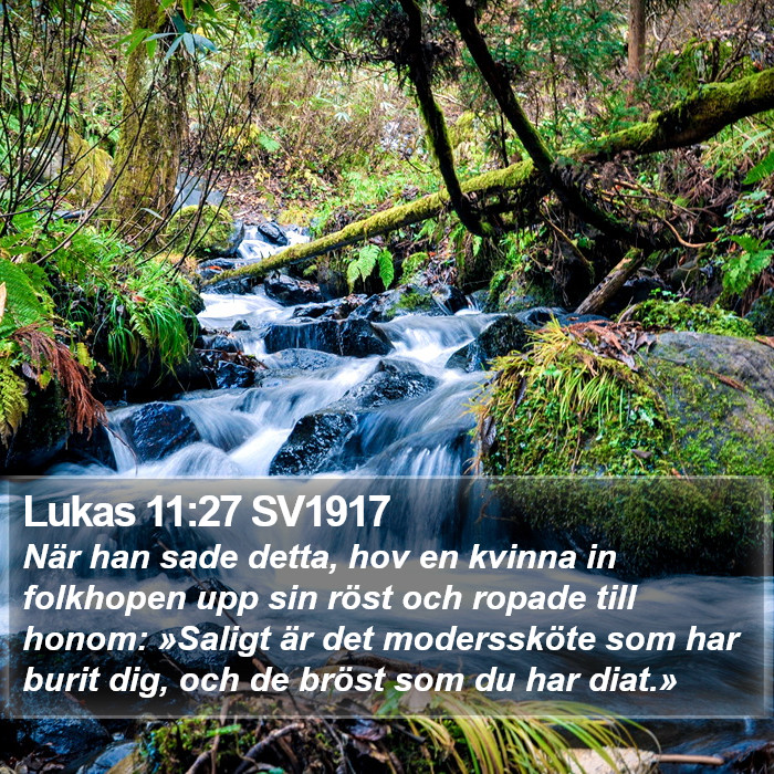 Lukas 11:27 SV1917 Bible Study