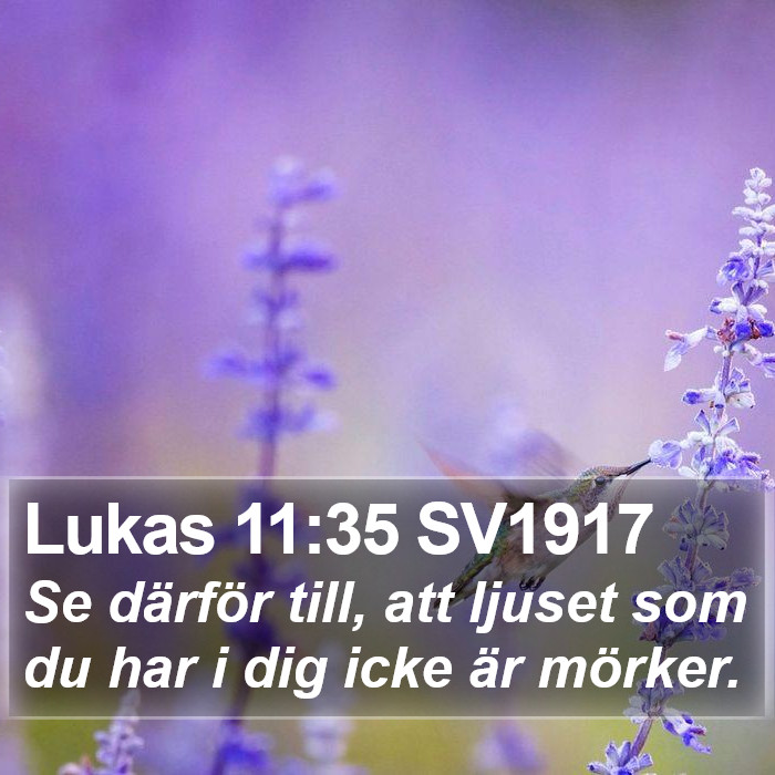 Lukas 11:35 SV1917 Bible Study