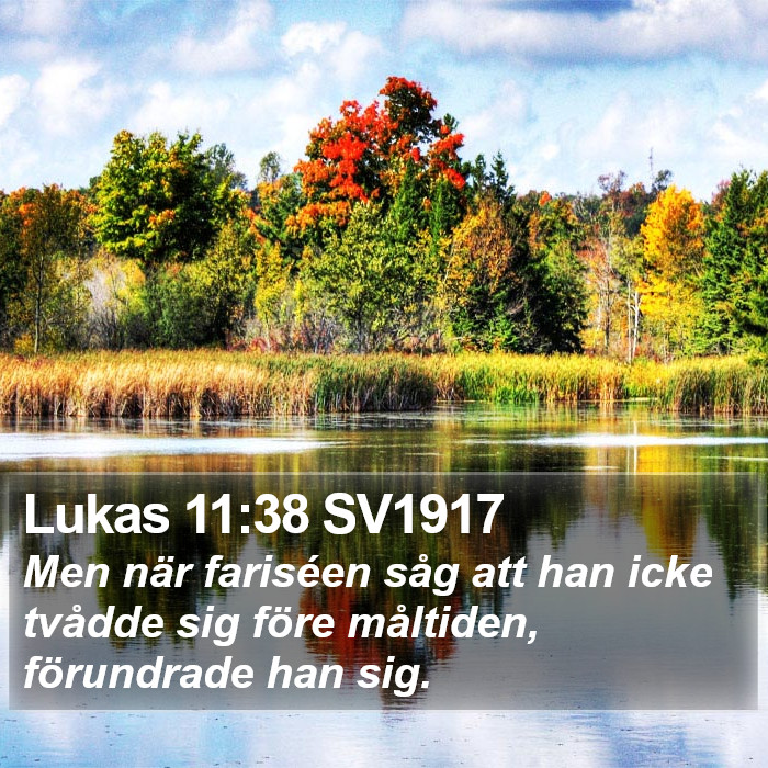 Lukas 11:38 SV1917 Bible Study