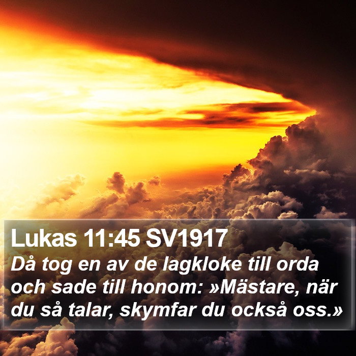 Lukas 11:45 SV1917 Bible Study