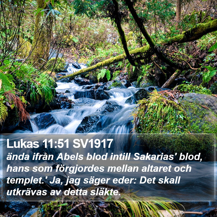 Lukas 11:51 SV1917 Bible Study