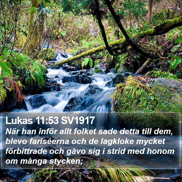 Lukas 11:53 SV1917 Bible Study