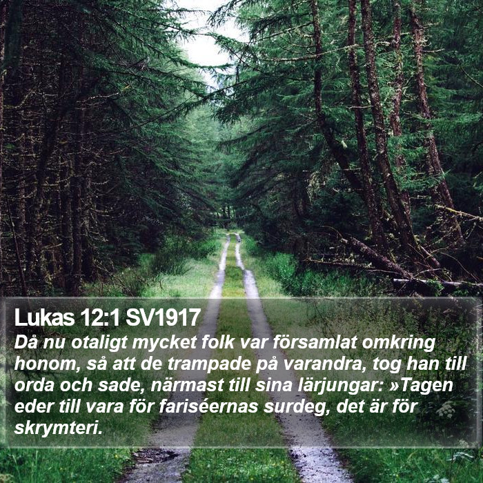 Lukas 12:1 SV1917 Bible Study