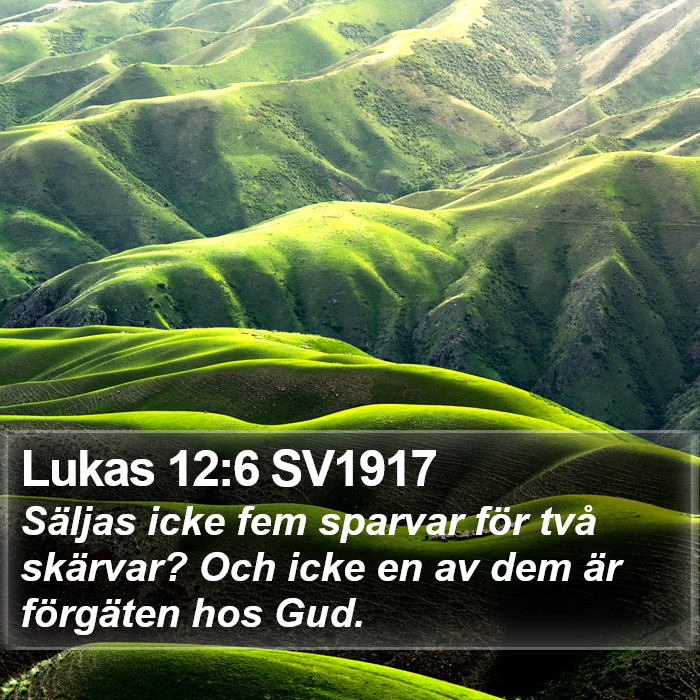 Lukas 12:6 SV1917 Bible Study