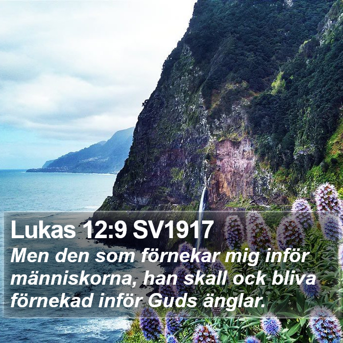 Lukas 12:9 SV1917 Bible Study