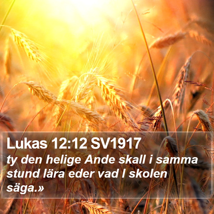 Lukas 12:12 SV1917 Bible Study