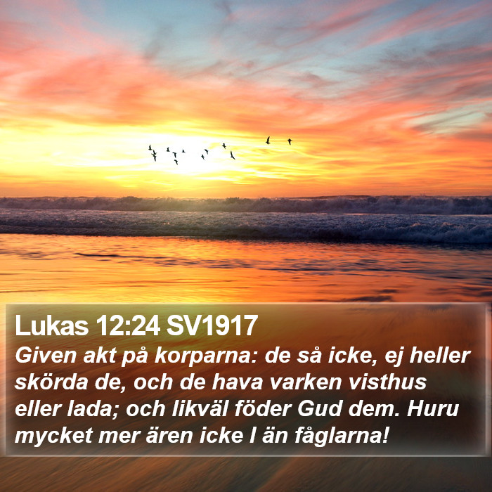 Lukas 12:24 SV1917 Bible Study