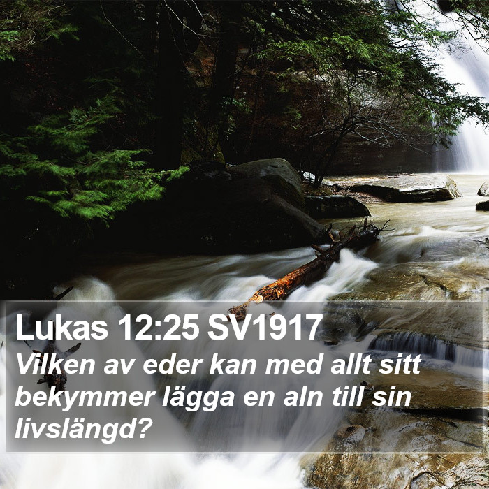 Lukas 12:25 SV1917 Bible Study