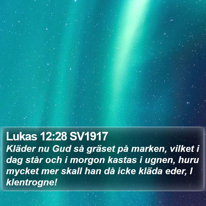 Lukas 12:28 SV1917 Bible Study