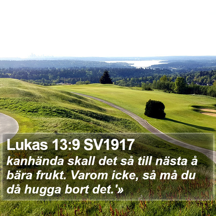 Lukas 13:9 SV1917 Bible Study