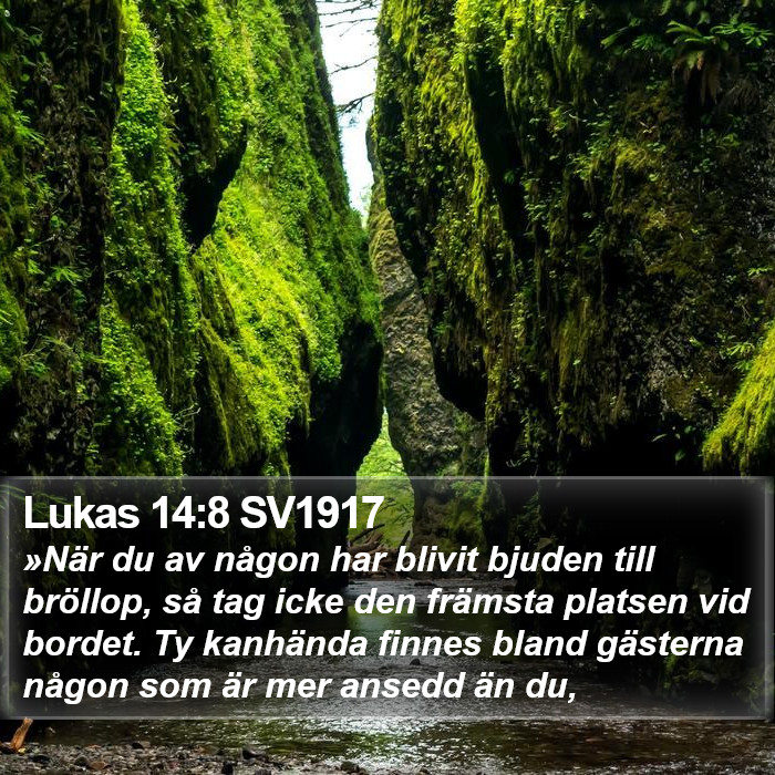 Lukas 14:8 SV1917 Bible Study