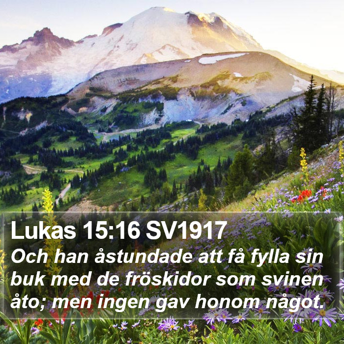 Lukas 15:16 SV1917 Bible Study