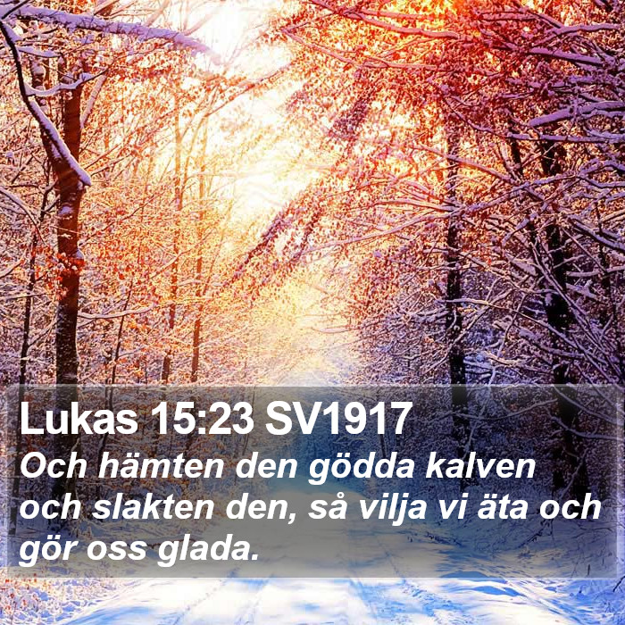 Lukas 15:23 SV1917 Bible Study