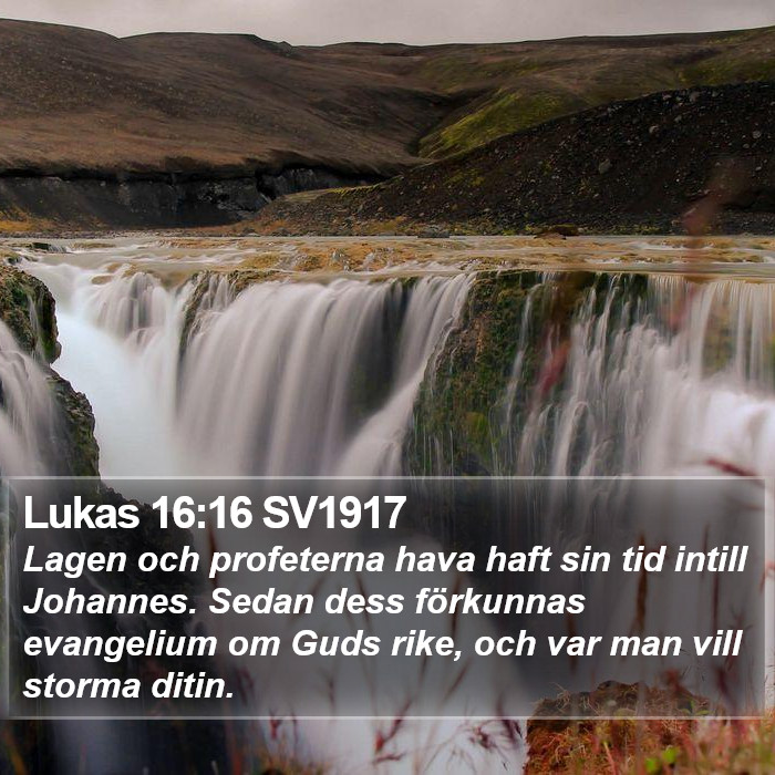 Lukas 16:16 SV1917 Bible Study