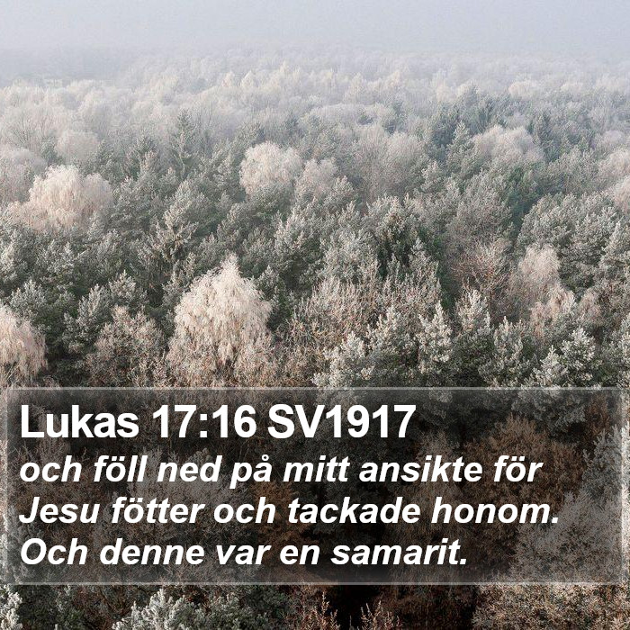 Lukas 17:16 SV1917 Bible Study