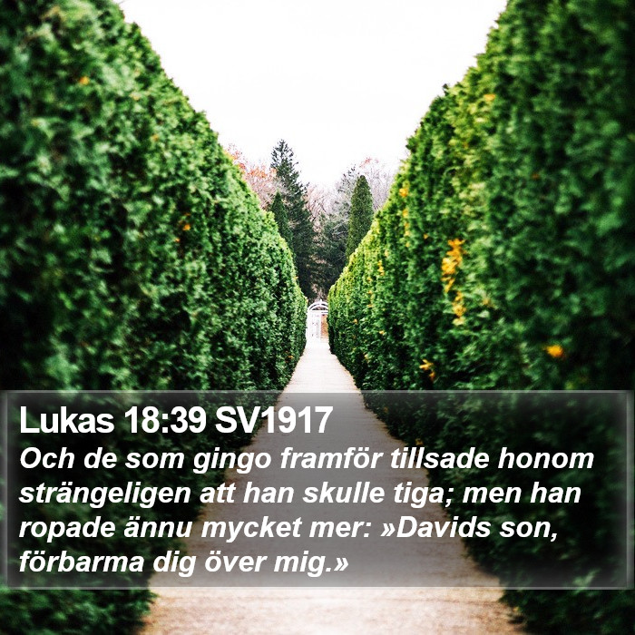 Lukas 18:39 SV1917 Bible Study