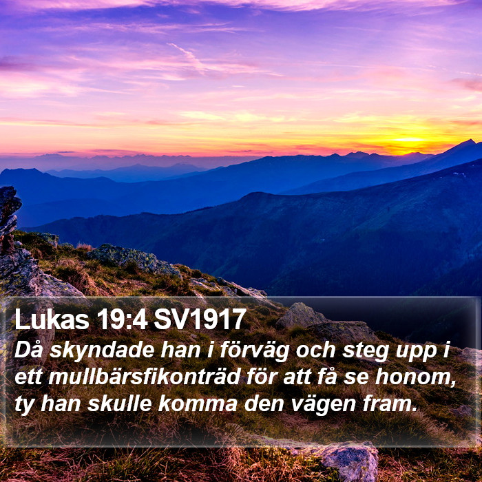 Lukas 19:4 SV1917 Bible Study