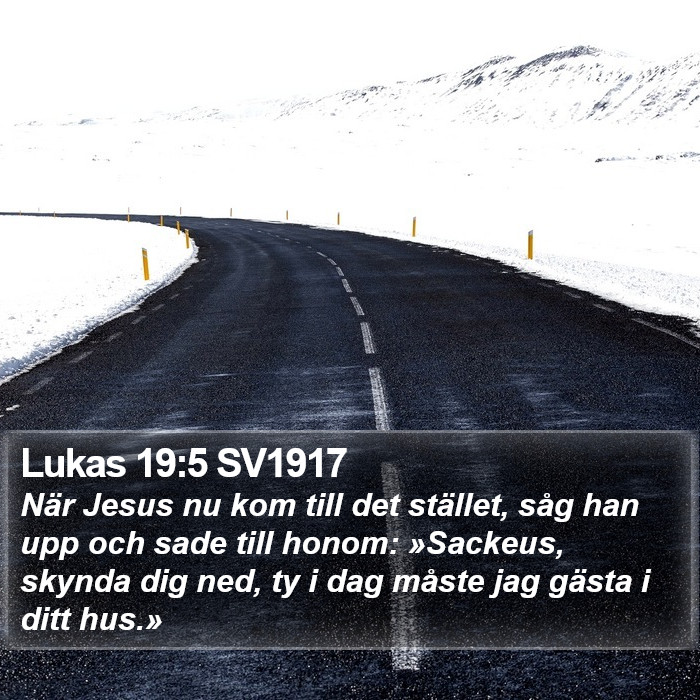 Lukas 19:5 SV1917 Bible Study