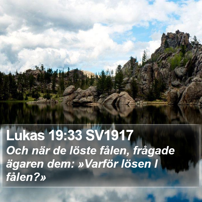 Lukas 19:33 SV1917 Bible Study