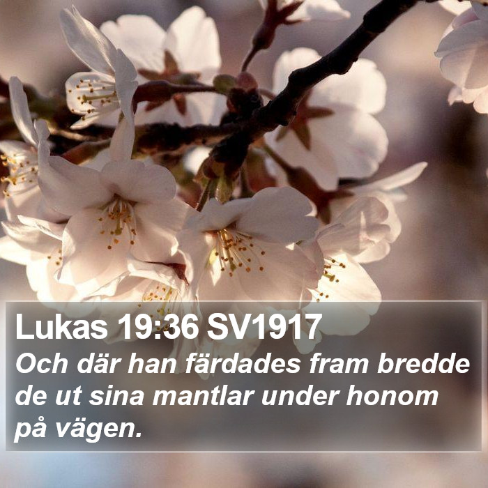 Lukas 19:36 SV1917 Bible Study