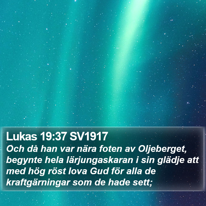 Lukas 19:37 SV1917 Bible Study