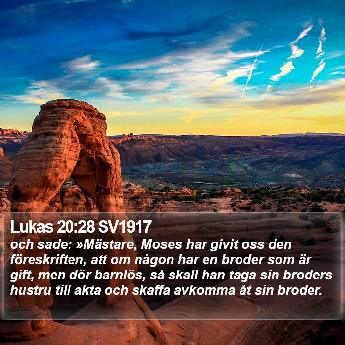 Lukas 20:28 SV1917 Bible Study