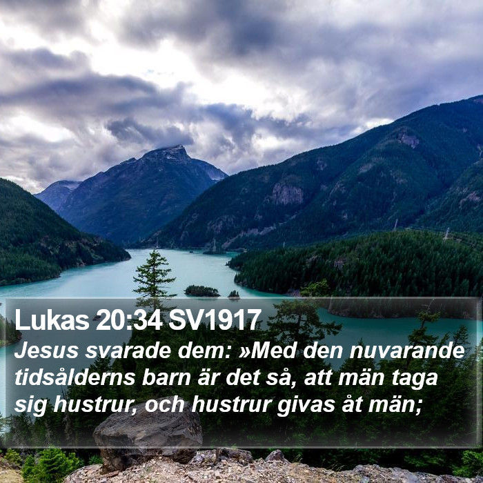 Lukas 20:34 SV1917 Bible Study