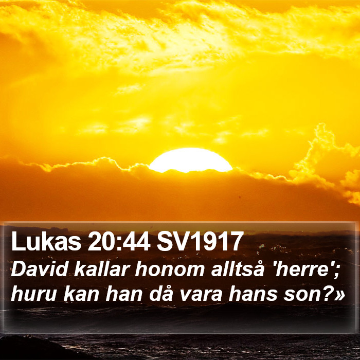 Lukas 20:44 SV1917 Bible Study