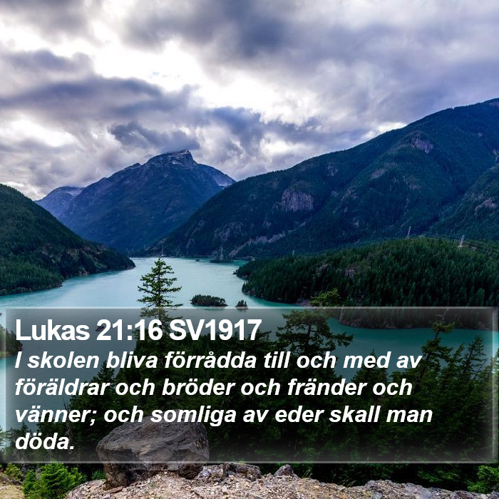 Lukas 21:16 SV1917 Bible Study