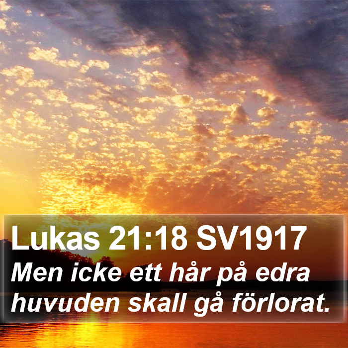 Lukas 21:18 SV1917 Bible Study