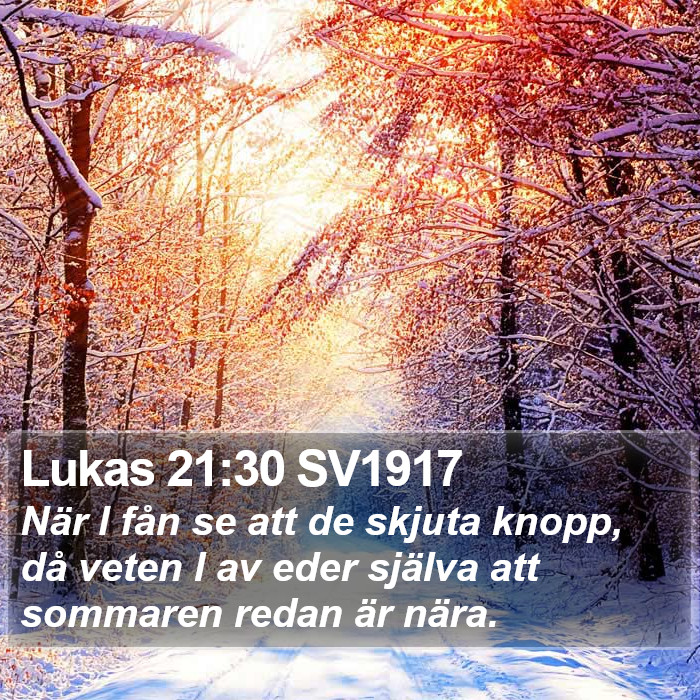 Lukas 21:30 SV1917 Bible Study