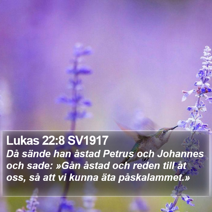 Lukas 22:8 SV1917 Bible Study