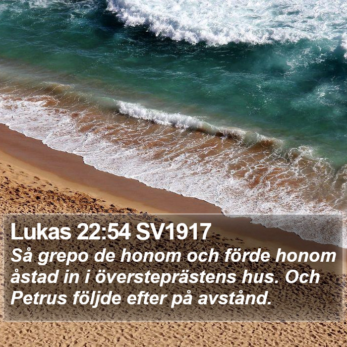 Lukas 22:54 SV1917 Bible Study