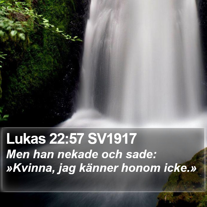 Lukas 22:57 SV1917 Bible Study