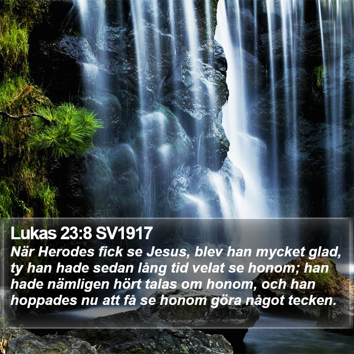 Lukas 23:8 SV1917 Bible Study