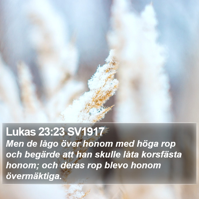 Lukas 23:23 SV1917 Bible Study