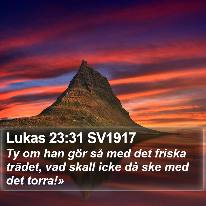 Lukas 23:31 SV1917 Bible Study