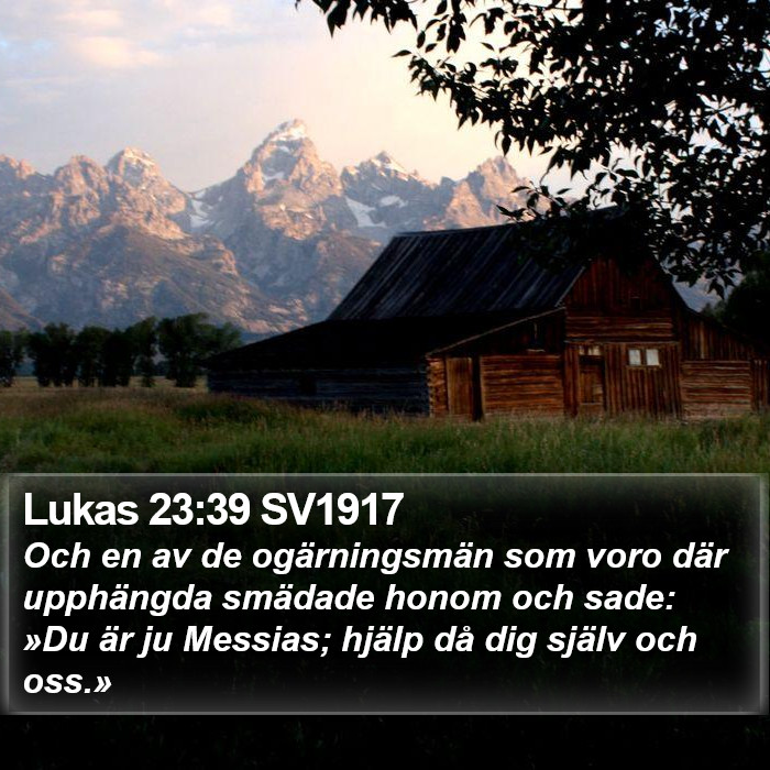 Lukas 23:39 SV1917 Bible Study