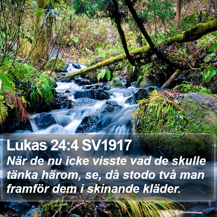 Lukas 24:4 SV1917 Bible Study