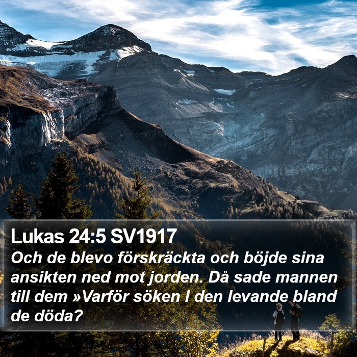 Lukas 24:5 SV1917 Bible Study