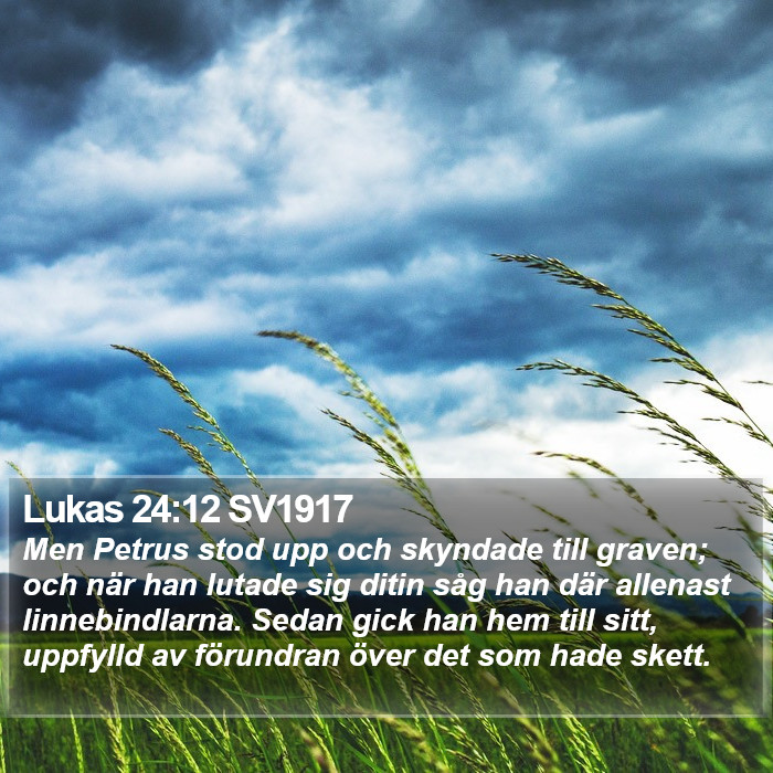 Lukas 24:12 SV1917 Bible Study