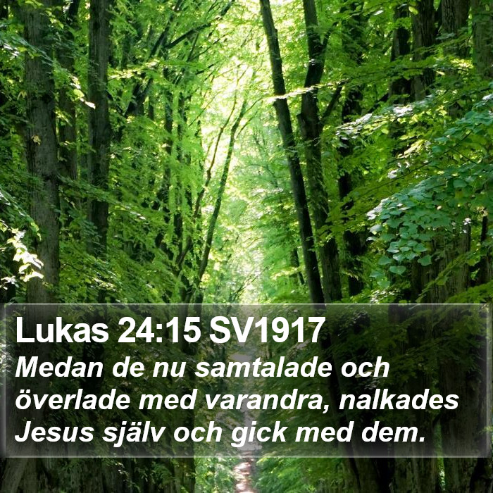 Lukas 24:15 SV1917 Bible Study