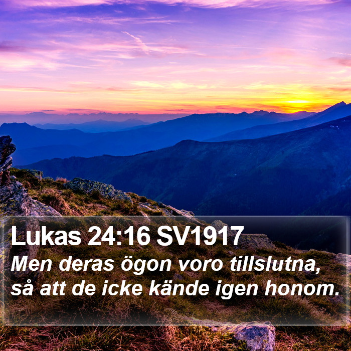 Lukas 24:16 SV1917 Bible Study