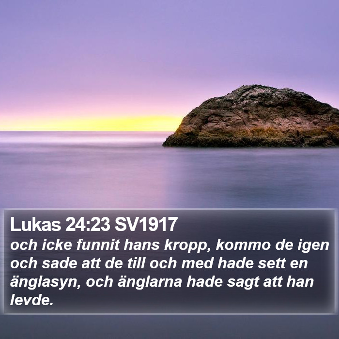 Lukas 24:23 SV1917 Bible Study